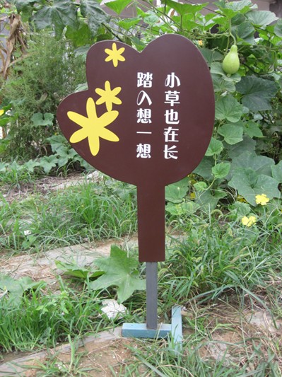 y(bio)ʾ